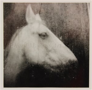 Image description is not available for 2000.039